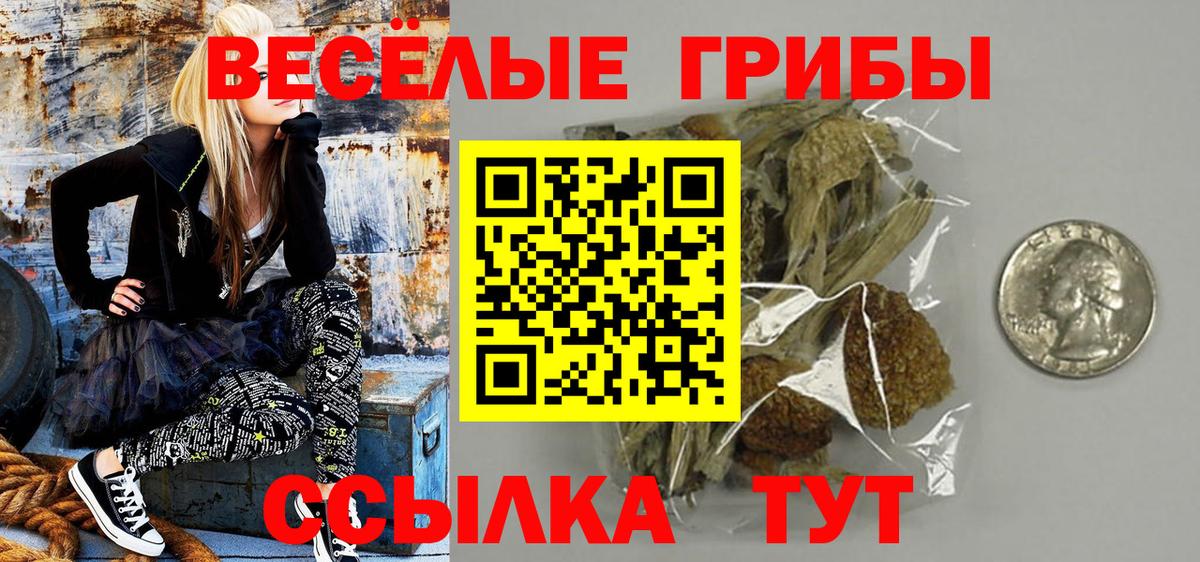 Псилоцибиновые грибы MAGIC MUSHROOMS Гуково